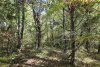 Перспективная ООПТ Камчатская скала